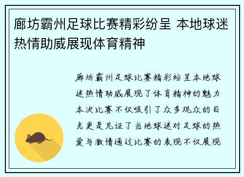 廊坊霸州足球比赛精彩纷呈 本地球迷热情助威展现体育精神